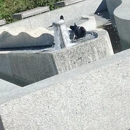 Dreapart * Pruszcz Gdański
