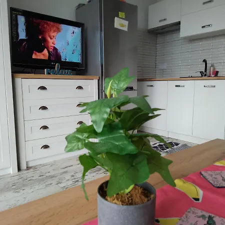 Dreapart Appartement Pruszcz Gdański